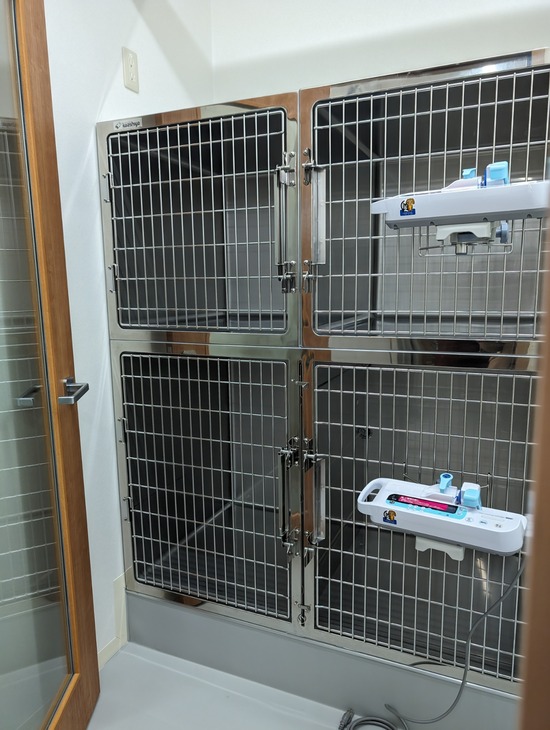 PXL_20240128_044154929