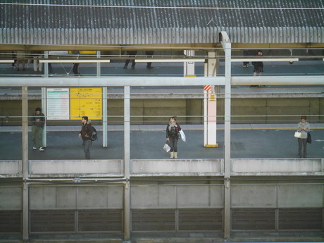 P1230895