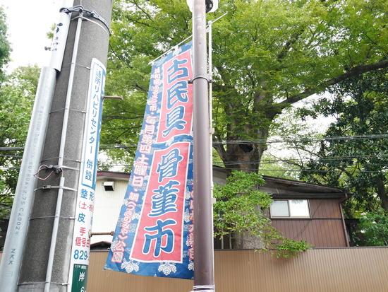 P1030676