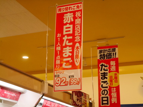 P1230534