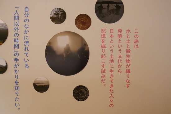 P1150092
