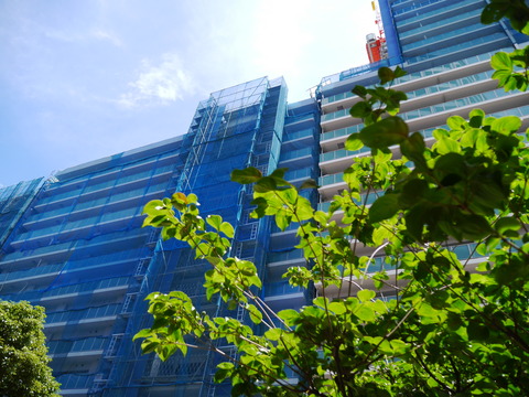 P1170331