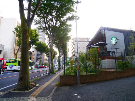 P1090290