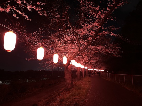 20250331_123935