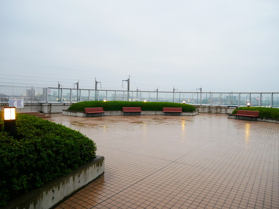 P1030729