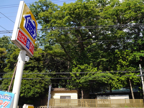 P1160490