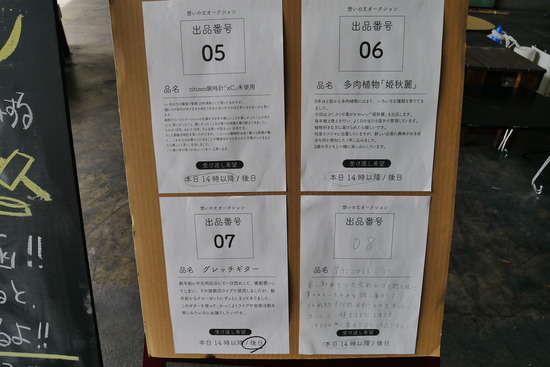 P1130411