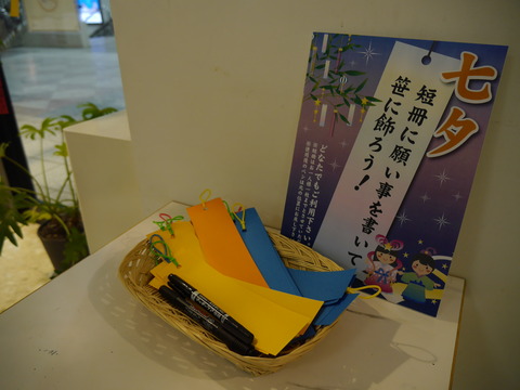 P1170600