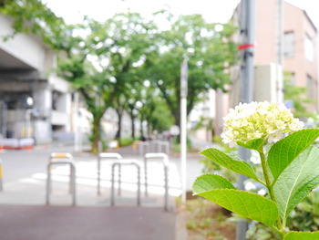 P1290633