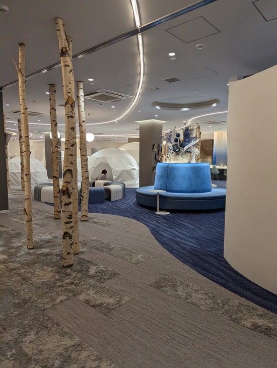 PXL_20230505_105543722