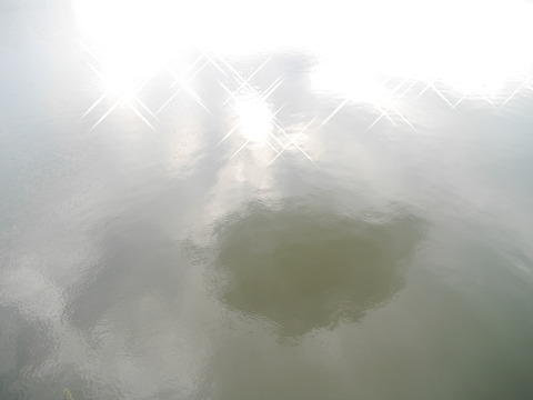 P1210430