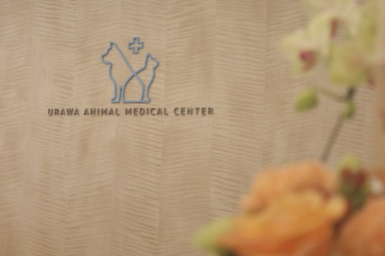 423325803_397712549584440_3268903725154967964_n