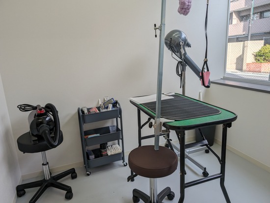 PXL_20240128_044135410