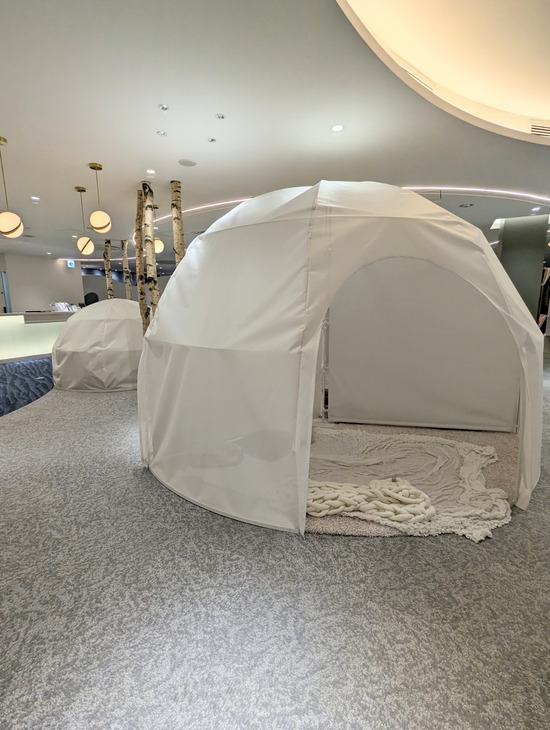 PXL_20230505_110230272~2