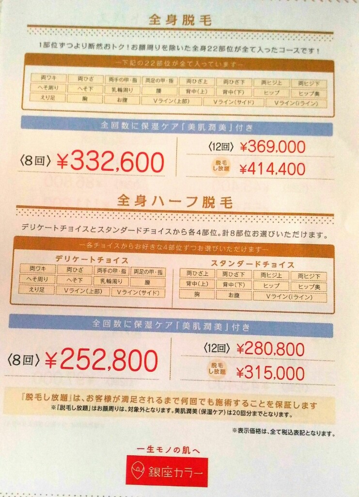 検証 銀座カラーの脱毛料金は月9900円というけれど総額いくらなんですか ライフハックブログ