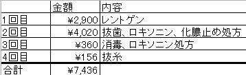 キャプチャ