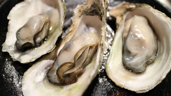 oyster-989182_1920