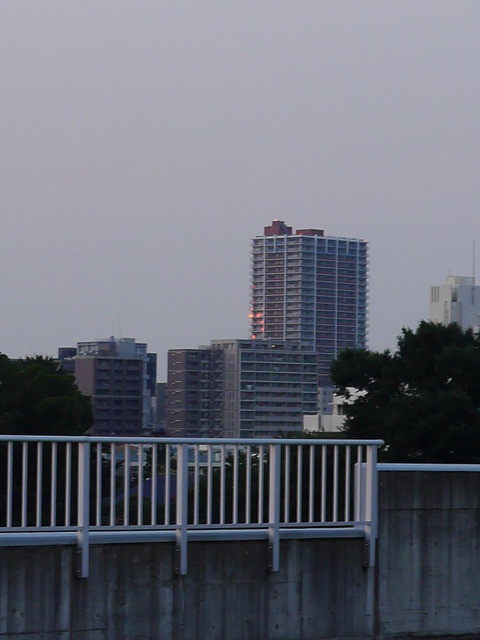 P1170141