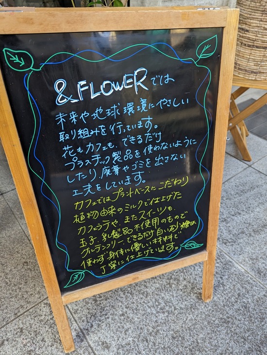 PXL_20230211_063017803