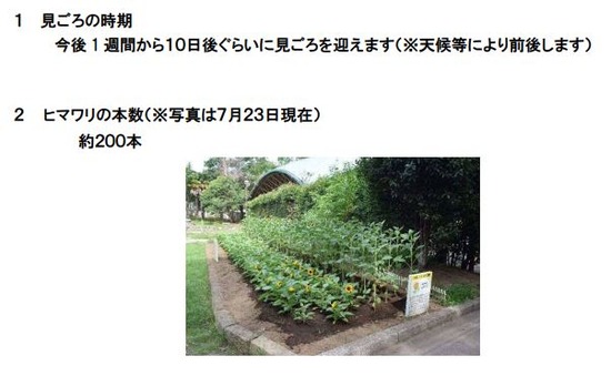 キャプチャ