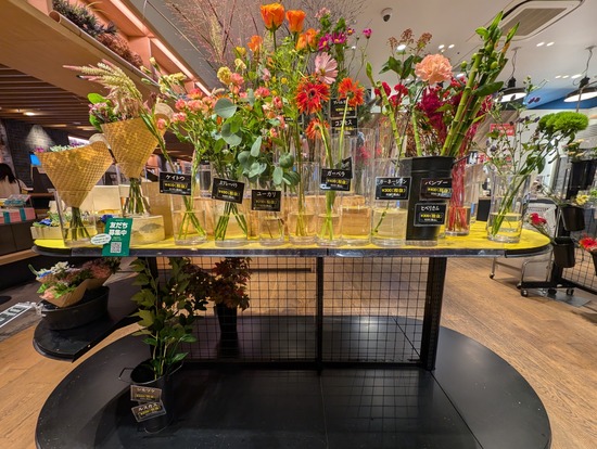 PXL_20241010_110617756