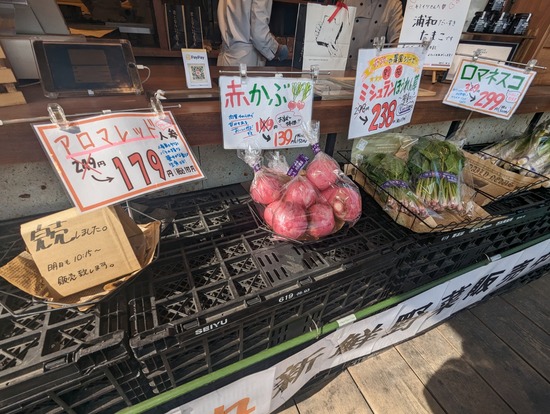 PXL_20230219_021340339