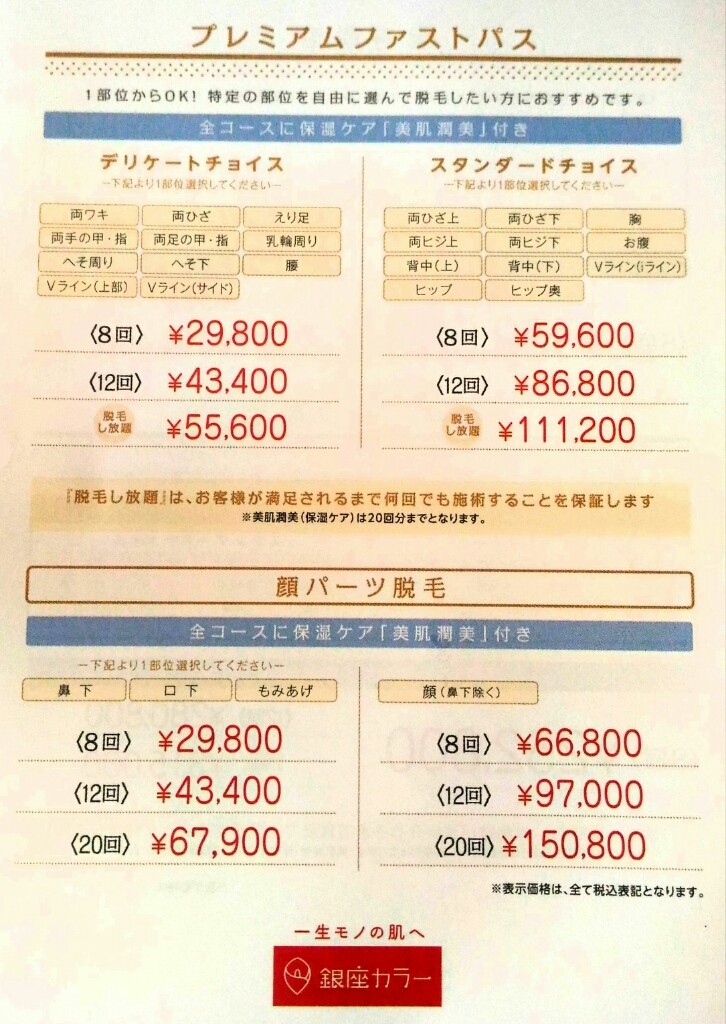 検証 銀座カラーの脱毛料金は月9900円というけれど総額いくらなんですか ライフハックブログ