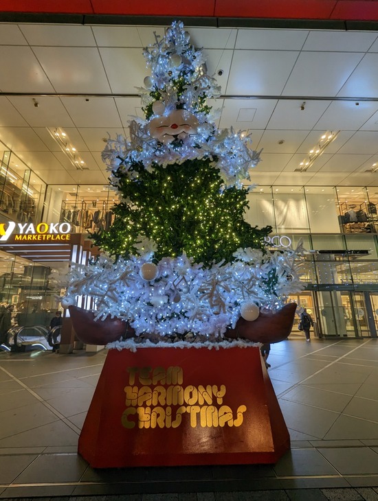 PXL_20221104_090129210