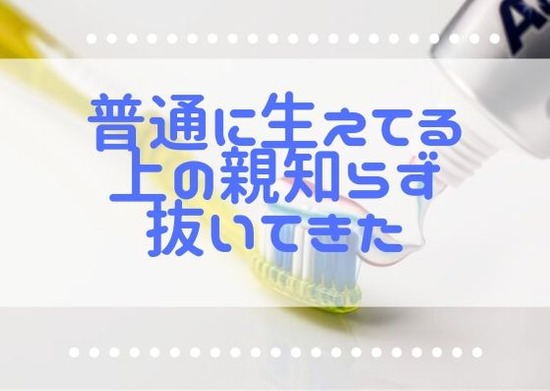 まとめ画像 (2)