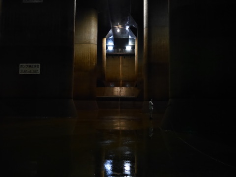 P1190896