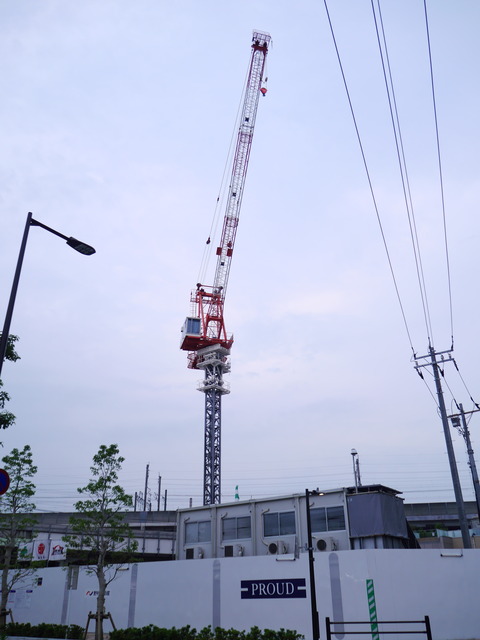 P1160981