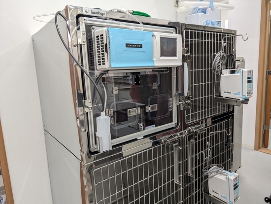 PXL_20240128_045045502