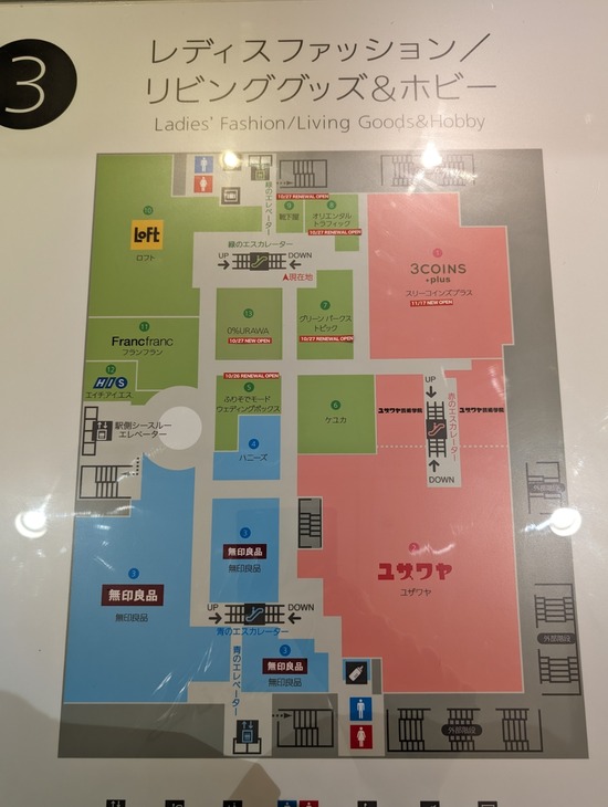 PXL_20231119_074311070