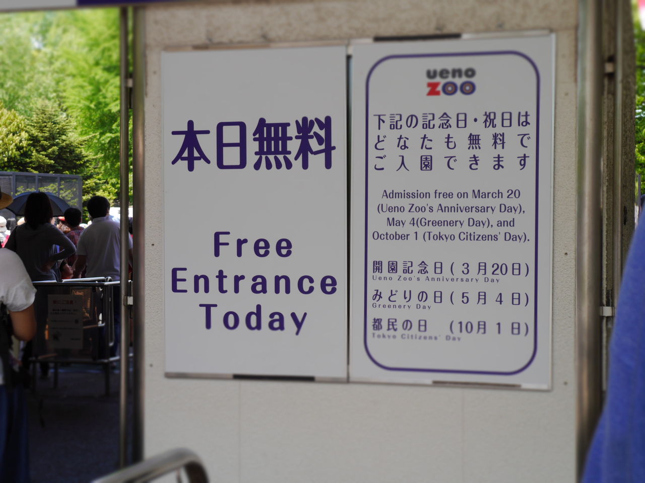 上野動物園無料開園日にingresしてきた マルタナビ 社会人からのマルタ留学ブログ