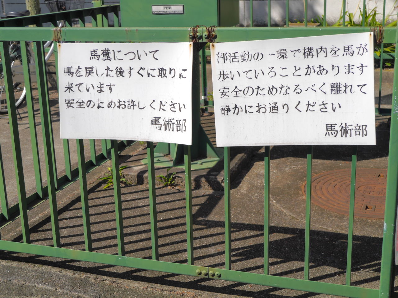 馬がキャンパス内を歩く 京大北部構内はちょっと変 マルタナビ 社会人からのマルタ留学ブログ