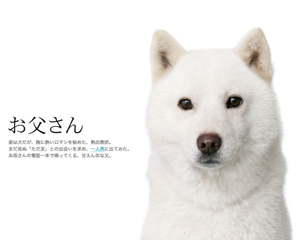 ヨンベとかユチョンさんとか思いつくままぐだぐだと Hiroのぐだぐだ日記