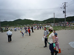 20090607UXエコワーク108in寺泊海岸清掃