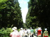 20050723エコワーク(帰り道)
