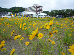 20090607UXエコワーク108in寺泊海岸清掃