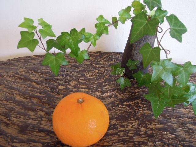 �礭�ʤߤ���