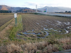 CIMG0231