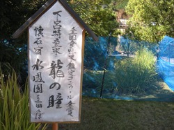 お米が旨い