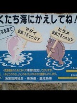 4ef2a66a.jpg