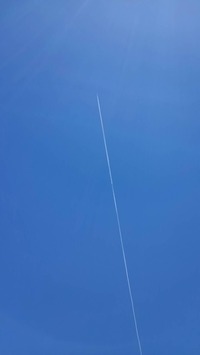 1561551599267