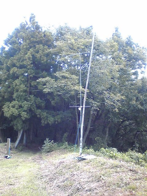 イメージ 2