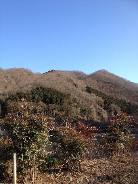 イメージ 1