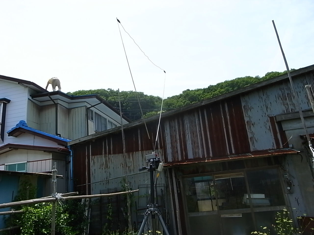 イメージ 7