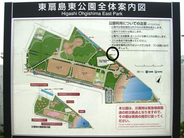 イメージ 6