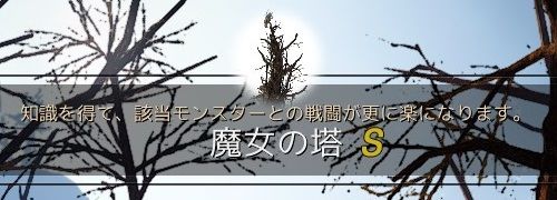 ヘッセ聖域知識オールs クザカ狂信徒の見聞録 黒い砂漠
