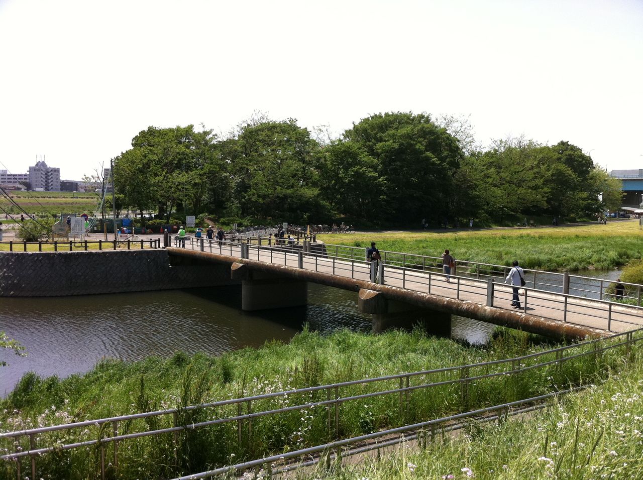 兵庫島公園 溝の口の鉄矢 パワースポット 穴場編 兵庫島公園 溝の口の鉄矢 パワースポット 穴場編
